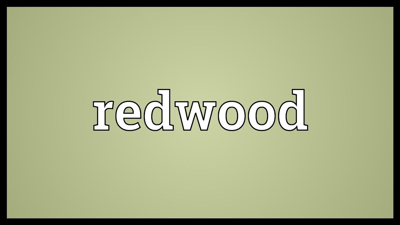 Redwood Meaning YouTube