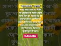 আযানের দোয়া #youtubeshorts #islamicvideo #bangla #islam #shots #ইসলামের দাওয়াত#allah #muhammad