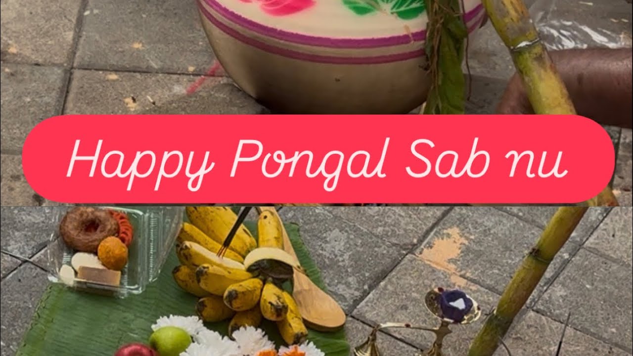 Aj South Indian festival kita . Buhat Anand aya . Kro enjoy tusi v🥰