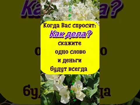 Когда Вас Спросят Как Дела, Скажите Одно И Деньги Будут Всегда