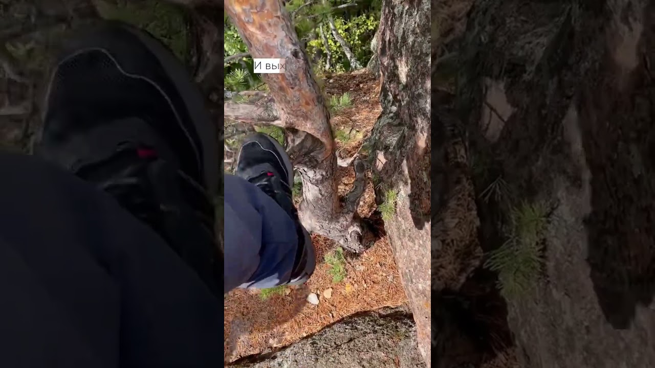 Маршрут выходного дня с АРБАН. Красноярские столбы