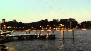Bats at dusk in Batemans Bay, NSW Australia