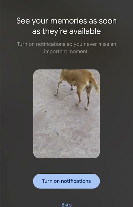 SHEEDE 😢 #shortvideo #dog#doglover#pet#petlover #animals