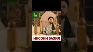 Домулло Абдулкодир