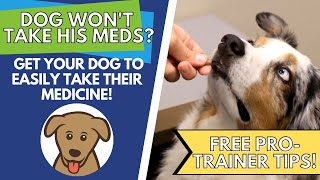 Trainer Tips: East ways to give your Dog his Medication!