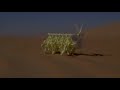 Official imagine science abu dhabi 2016 trailer