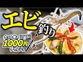【セット竿+1000円で】テナガエビを釣ってパエリアを作りたい!!【6月】
