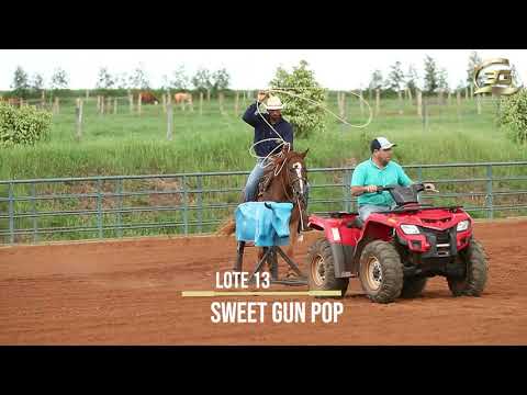 13   SWEET GUN POP