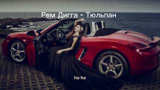 Рем Дигга - Тюльпан