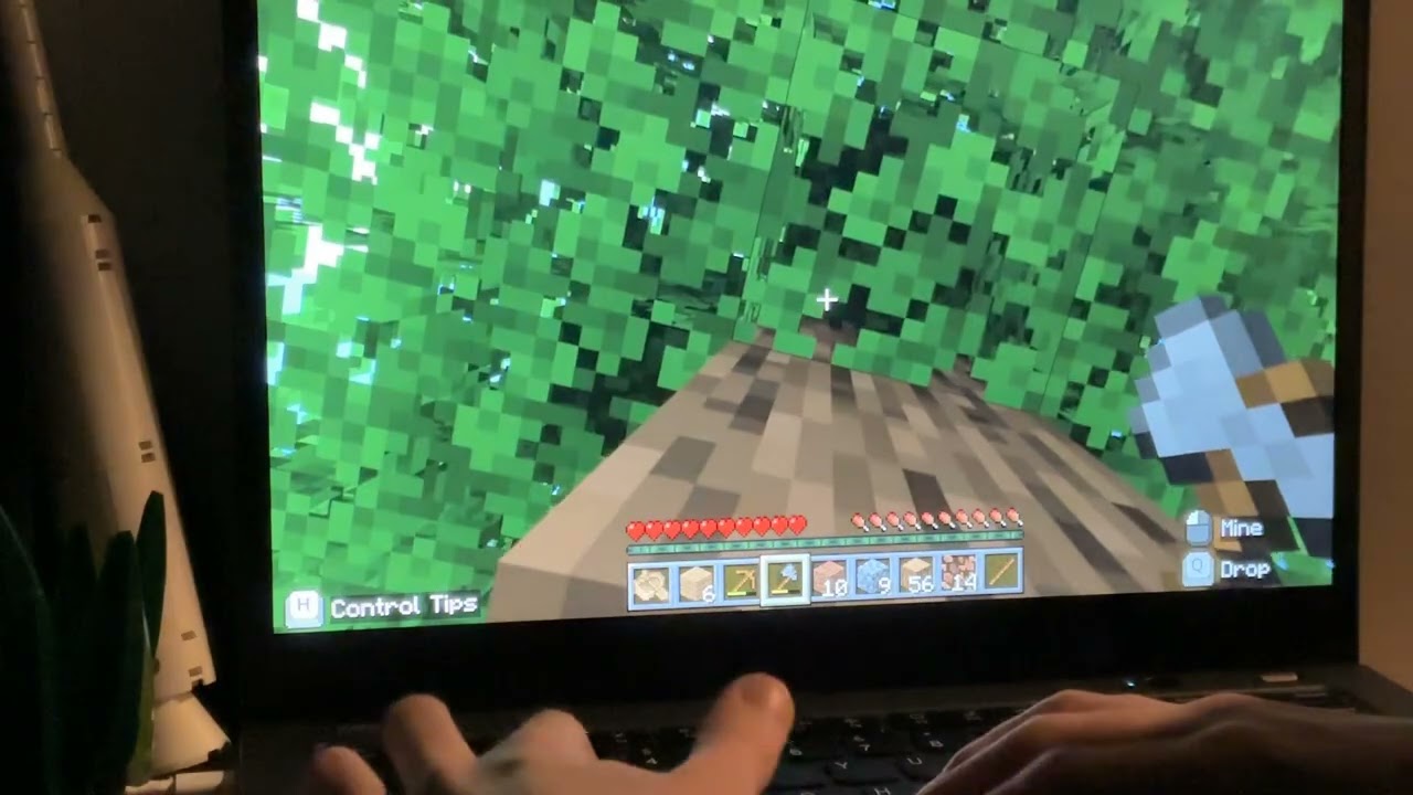 minecraft house bilud