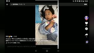 フォーエイトに出た琴葉ちゃんが亡くなってしまいました。　お空の琴葉ちゃんへ　　　葉ちゃんよく頑張りました。お疲れ様!。　　　　琴葉ちゃんは、目の病気か悪化して亡くなったそうです。