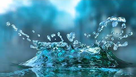 سورة النور الآية 45