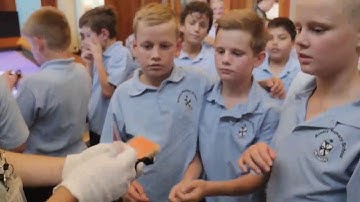 Australia museum RFID Example