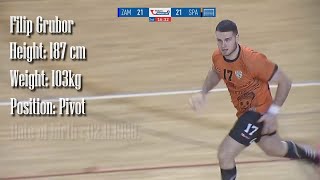 Filip Grubor Handball Player Highlights