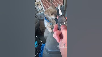 2007 dodge ram new remote key for TLC motors #allockandkeyco #locksmithlife #stl #work ￼