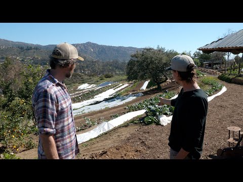 Video: How To Plan A Plot On A Slope: Terraces