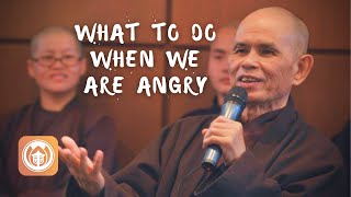 What do you do when you get very upset? | Thich Nhat Hanh answers questions