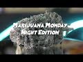 Marijuana Monday  NIGHT EDITION - GORILLA GLUE #4 X PRE 98 BUBBA