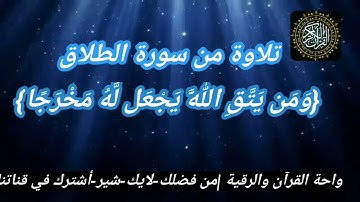 #تلاوة من سورة الطلاق :{ومن يتق الله يجعل له مخرجا: رعد الكردي