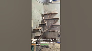 Tree branch bookshelf wood tree bookcase art decor wall mount floating book shelf