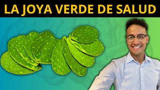 8 GRANDES BENEFICIOS de los NOPALES