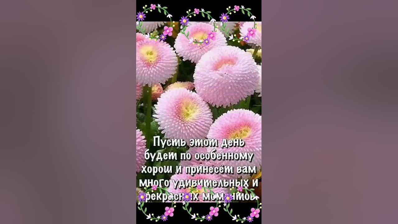 С Богом🙏В Новый день🌹 - YouTube
