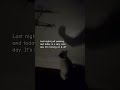 Kitten's playful moment. #reels #youtubeshorts #motivation