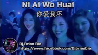Ni Ai Wo Huai 你爱我坏 Remix By Dj Brian Bie Tiktok New Song