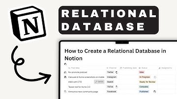 How to Create a Relational Database in Notion | Notion Tutorial