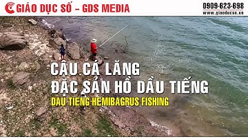 Câu Cá Lăng đặc sản hồ Dầu Tiếng