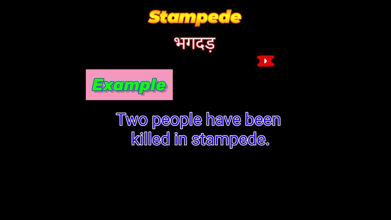 stampede-meaning-in-hindi-vocabulary-competition3485-youtube