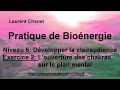 Niveau 6  louverture des chakras sur le plan mental