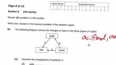 Science 2021 Paper 2 Revision  (B1&B2)