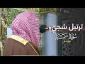 تلاوة شجية لآخر سورة سبأ للشيخ د عبدالله القرافي عشاء الأربعاء 2661447هـ mp3