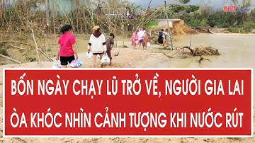 Bốn ngày chạy lũ trở về, người dân Gia Lai òa khóc nhìn cảnh tượng khi nước rút