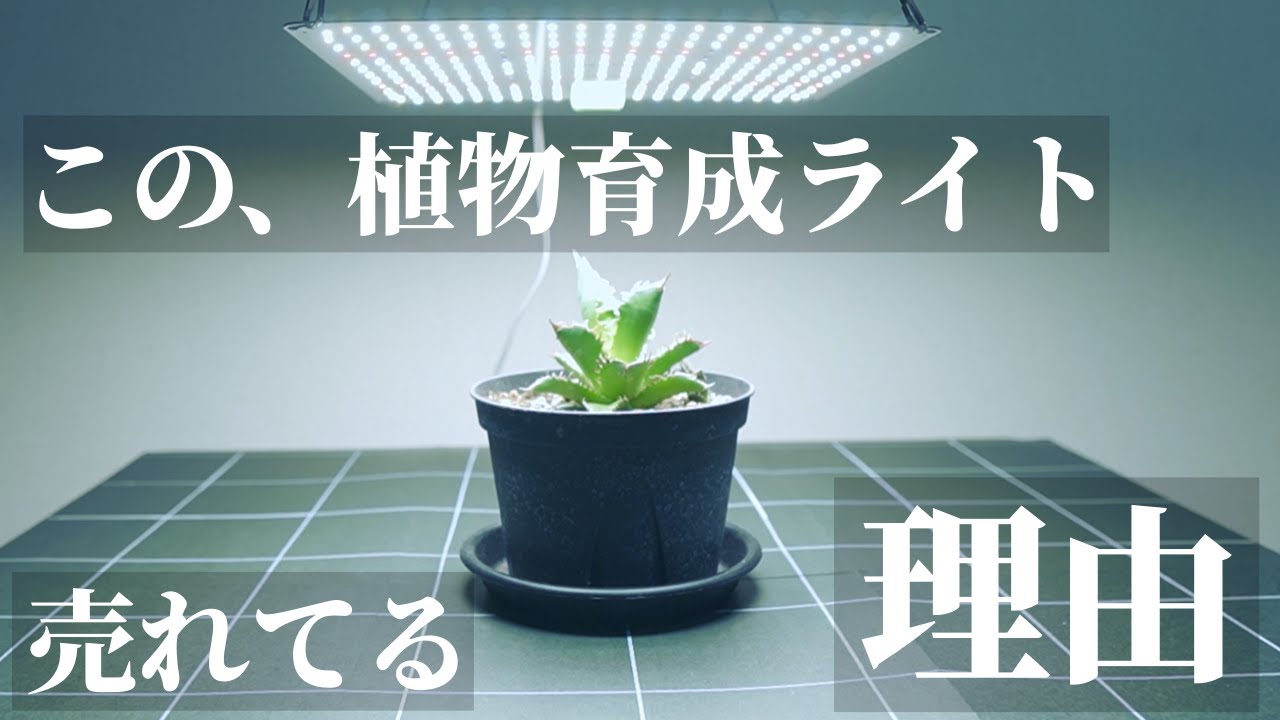 超おすすめ】まるで太陽！植物育成用LEDパネルライト「怪獣フレア301