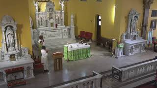 St. Dominic Roman Catholic Church Live Stream