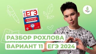 ВАРИАНТ 11 РОХЛОВ ЕГЭ-2024 РАЗБОР // NEOFAMILY