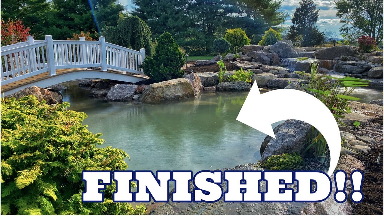 AMAZING Koi Pond with ARCHED BRIDGE - FINISHED