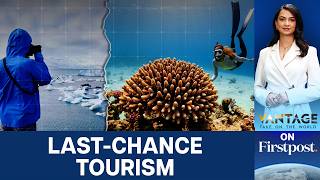 Travel Before Its Gone The Rise Of Lastchance Tourism  Vantage On Firstpost  N18g