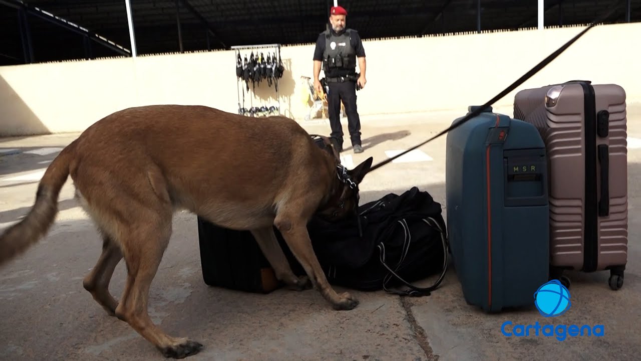 La Unidad Canina de la Policía Local cumple un año en funcionamiento