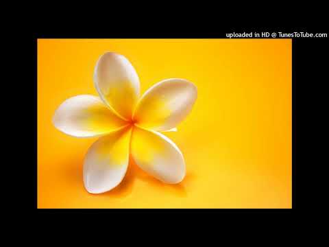 雪の週末／今井美樹