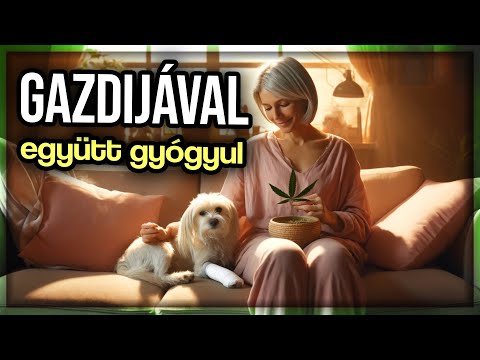 Kutya és Gazdi együtt gyógyult