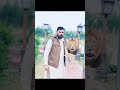 شیر نے میرے چاول اور چھولے گروا دیے 😱🐅 | حیرت انگیز واقعہ