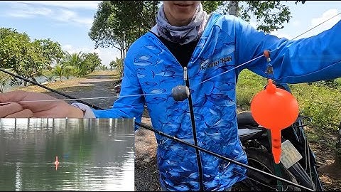 Hướng Dẫn Làm Trục Câu Cá Mè