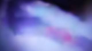 DSCF5510