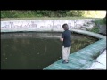 よく釣れるブラックバス