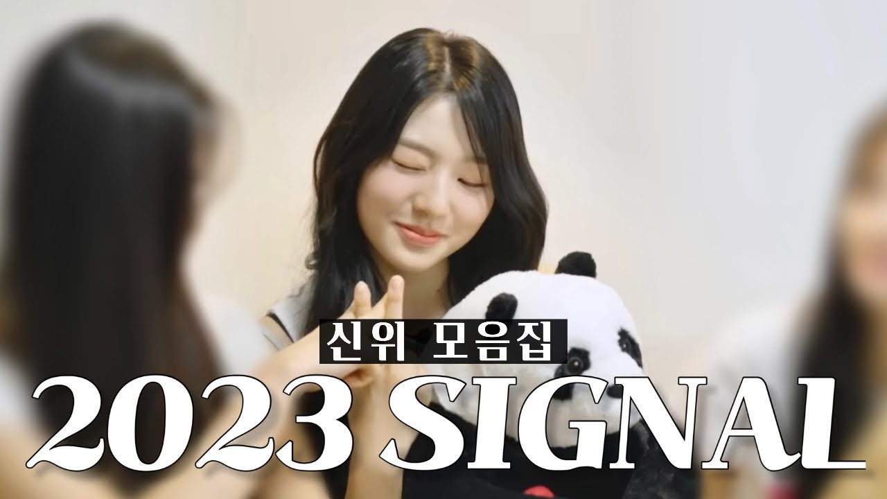 S15 팔척냥이 등장 | SIGNAL 신위 모음집