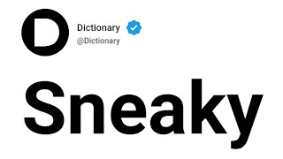 Sneaky Meaning In English