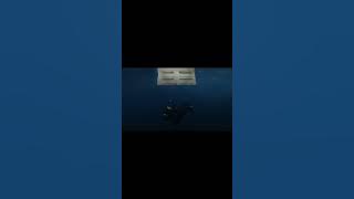 Wildflower by Billie Eilish - TikTok version mashup (vocals Instruments back vocals)